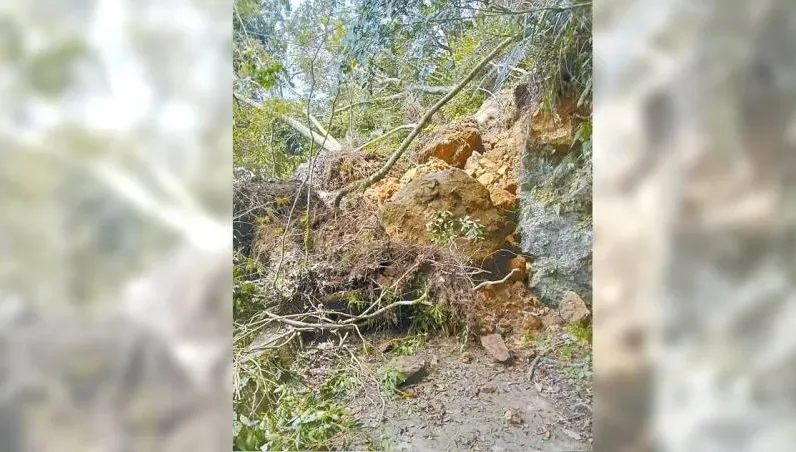 慘淪孤島…花蓮強震震垮聯外道路！大禮部落求援：族人無法上山勘災