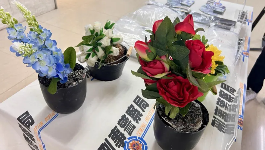 影/首例！假花盆栽夾帶毒品荷蘭空運入境　警查扣千萬K毒逮6嫌