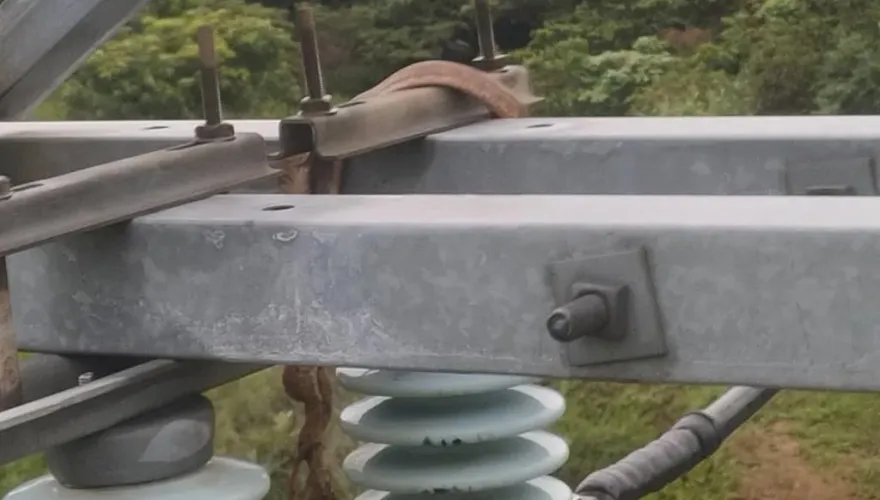 桃園「1天停電3次」！楊梅4543戶受影響　台電：蛇類碰觸電纜線