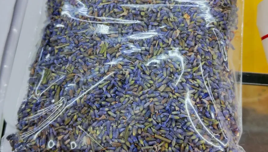 快訊/知名東區泰奶店「泰讚了」蝶豆花驗出殺蟲劑超標！恐罰6萬以上罰鍰