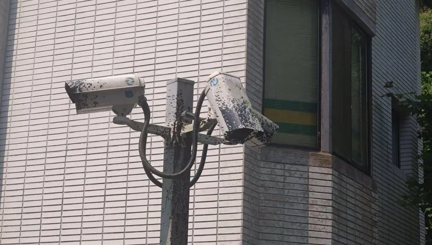 影/想幹嘛？北市文山區驚見「鏡頭君殺手」　噴漆毀7支5小時遭逮