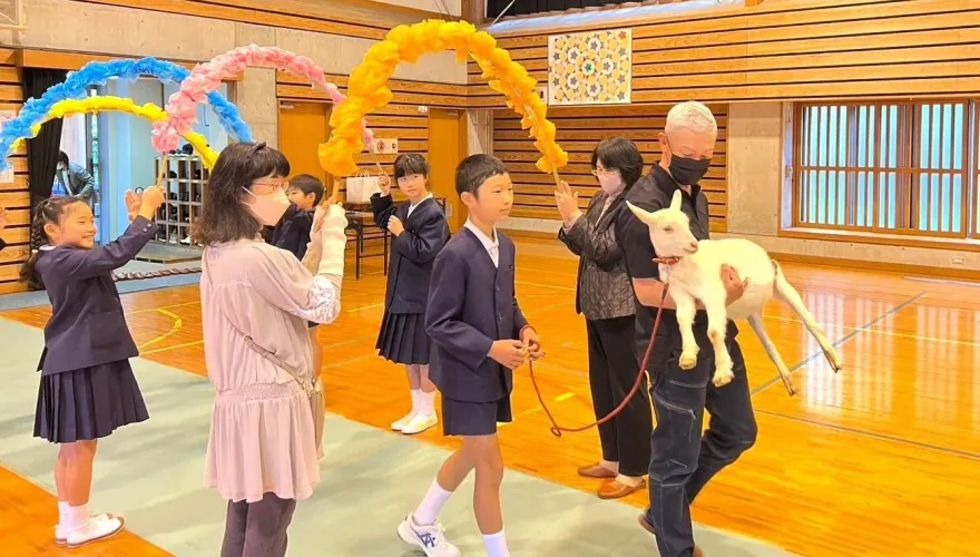 上學領頭「羊」！日本鹿兒島小學舉行入學典禮　一年級新生竟是隻山羊