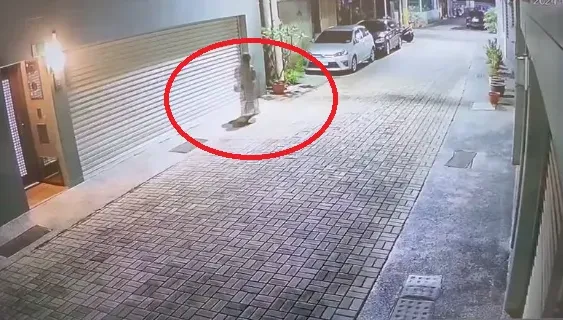 植栽店帥老闆崩潰！遭女客跟騷3年「一天call上百通」　他受夠不忍了