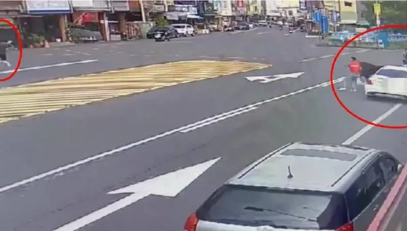 賊星該敗！7條通高雄市區閒逛遭警鷹眼揪出　被逮直喊：不跑了