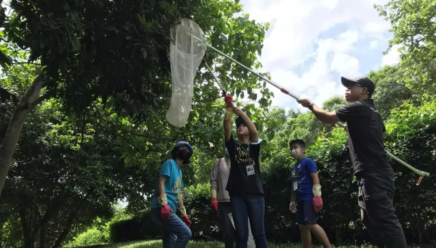 林業署帶頭「呷蟲」出事了！辦活動推「炸荔枝椿象」因這事惹衛生局登門關切