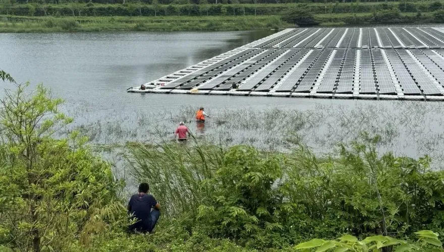 嘉縣中埔公館滯洪池疑鱷魚出沒 縣府籲民眾勿近