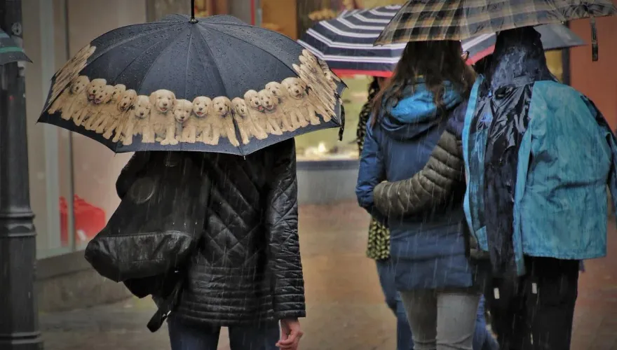 快訊/鋒面甩雨炸台！宜花晚間大雨下不停　留意雷擊、強陣風