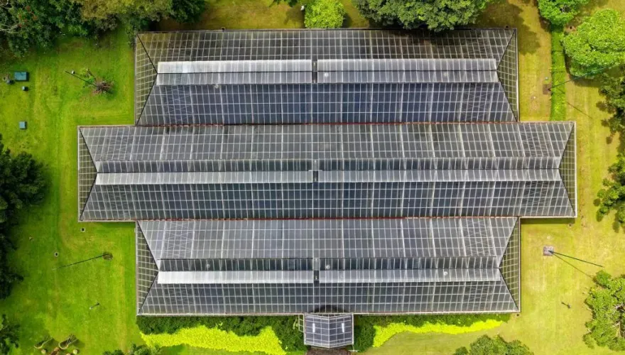 國際能源總署：關鍵礦物短缺恐拖累全球綠能轉型