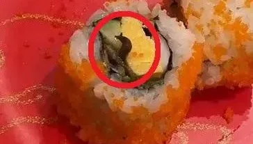 影/快訊/日本壽司連鎖店驚見「活蛞蝓壽司」！北市衛生局揪「2衛生缺失」！