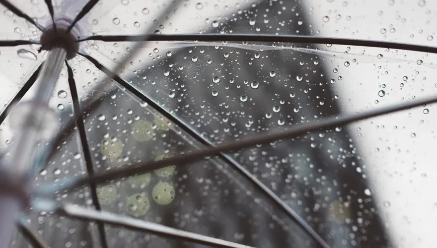 梅雨季來臨「濕氣超重」！體內除濕機「10招」讓你體內濕氣掰掰