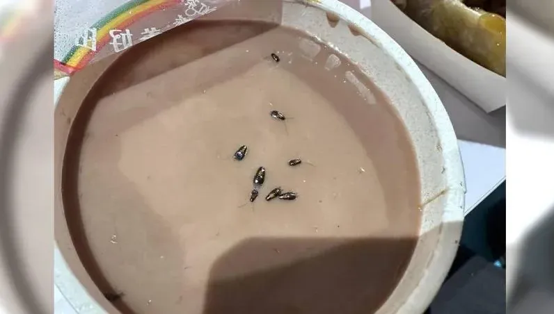 八強過奶？早餐店奶茶驚見「漂浮8小強」　網狂嘔：全家都在裡面