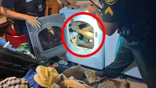軟骨功神人？槍擊犯狂逃2個月…見警上門竟把自己「對折塞進烘衣機」