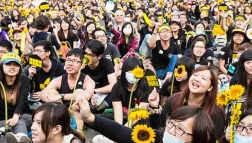 「太陽花就是場騙局」！10年前318學生醒悟吐真言　轟民進黨操控521：只想奪權