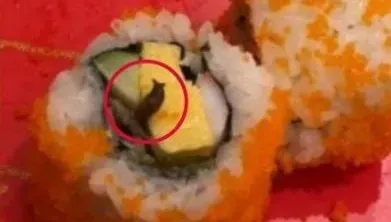 花壽司鑽出活蛞蝓…合點壽司揭「生物來源」道歉了　澄清沒刪評論