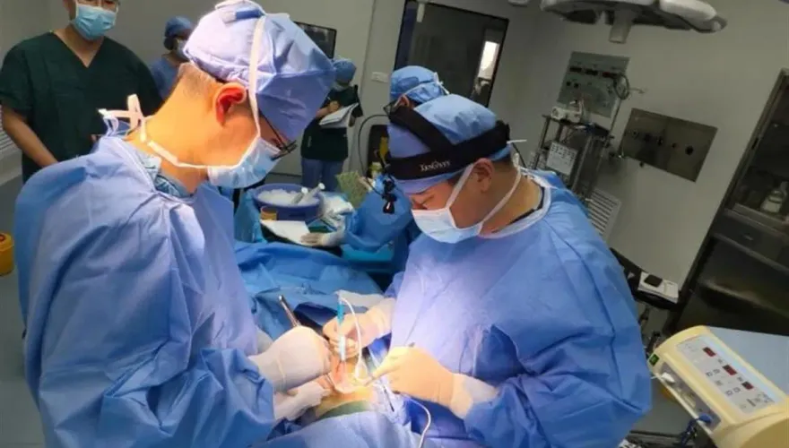 醫學新突破！全球首例豬肝成功移植到人類活體　71歲肝癌病患恢復良好