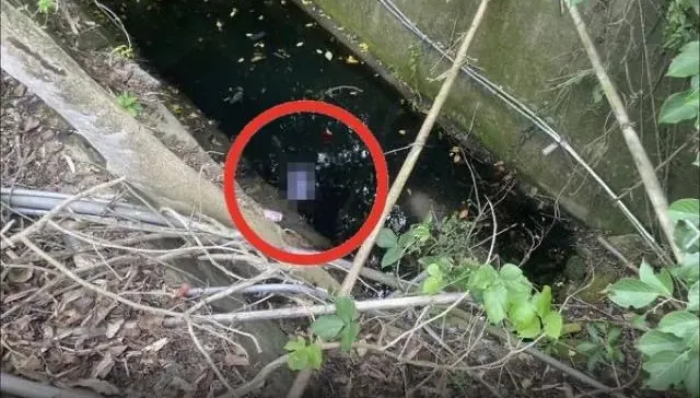 快訊/上個廁所竟丟命！台南阿北跌落5公尺深溪溝　慘遭溺斃