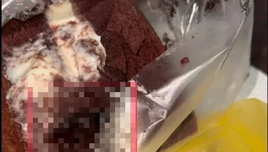 巧克力蛋糕咬一口聽到卡滋卡滋聲！吐出驚見「咬碎大蟑螂」　店家回應了