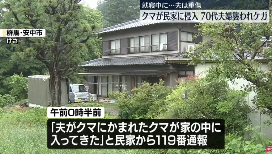 影/群馬山區野熊闖入民宅　70多歲屋主夫婦遭攻擊重傷送醫