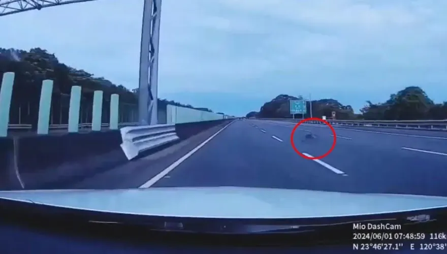 影/國3斗六段「猴子」出沒！快速橫越車道　驚險瞬間曝