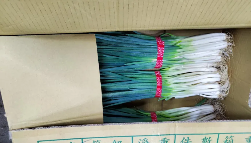 快訊/「非常泰」天母SOGO店青蔥驗出殺蟲劑、「祥和蔬食」九層塔農藥超標！