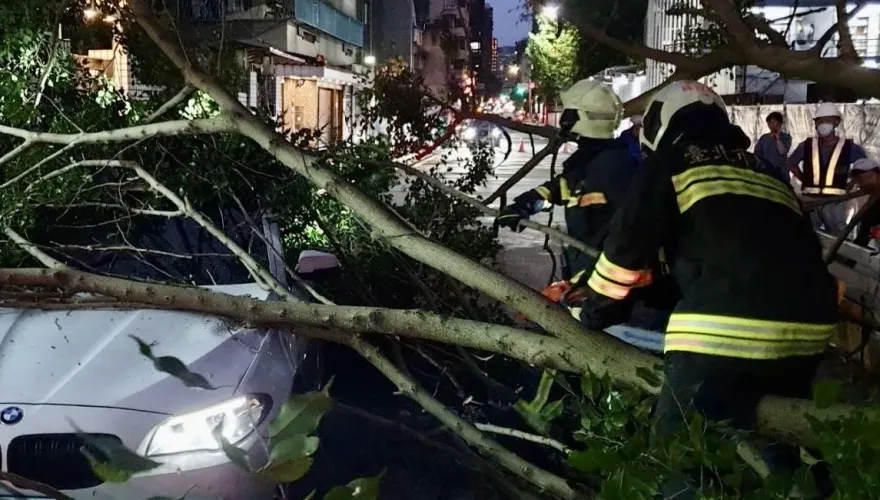 快訊/影片曝光！北市大安區四維路路樹突倒塌　行進中BMW遭砸中3人受困
