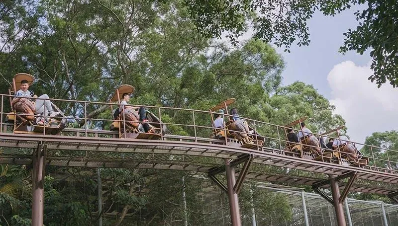 影/六福村空中腳踏車故障糗卡！女遊客爬「3樓高長梯」獲救　驚險畫面曝光