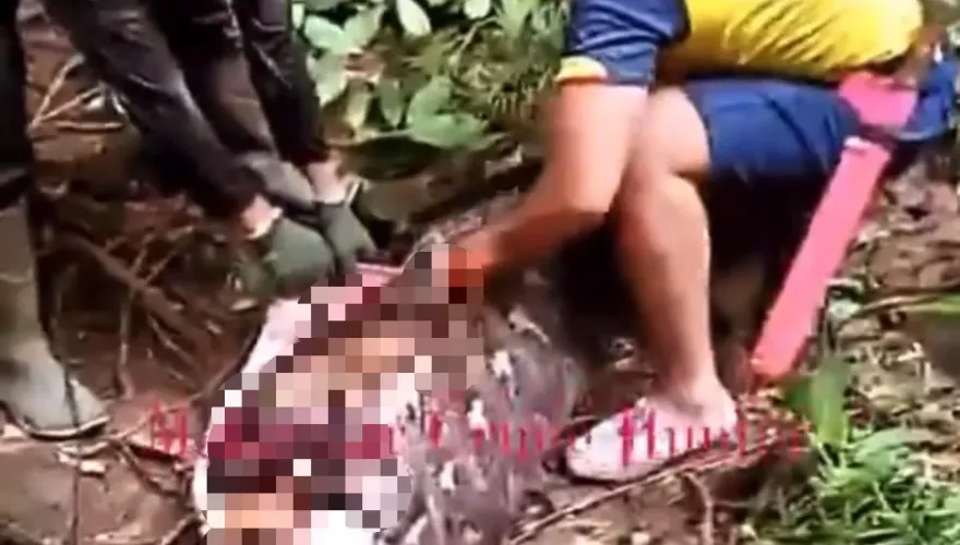 巨蟒吞婦「撐出人形」！　專家曝臨終細節嘆：不會有太多痛苦