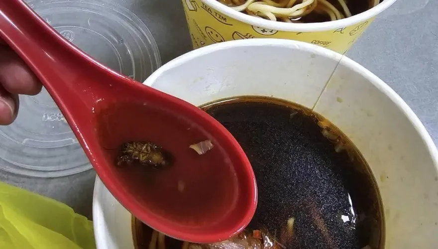 點牛肉麵「舀起完整蟑屍」　孕婦嚇到宮縮...外送員慘揹鍋