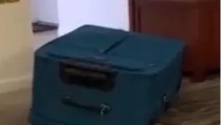 影/驚悚箱屍命案過程影像曝！疑不爽男友偷吃　狠女竟將他關在行李箱活活悶死