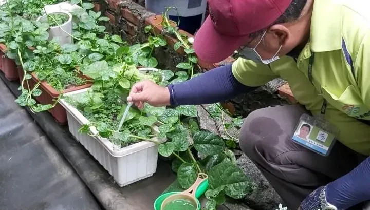 快訊／高雄鳳山爆登革熱群聚！社區282處孳生病媒蚊　全部開罰