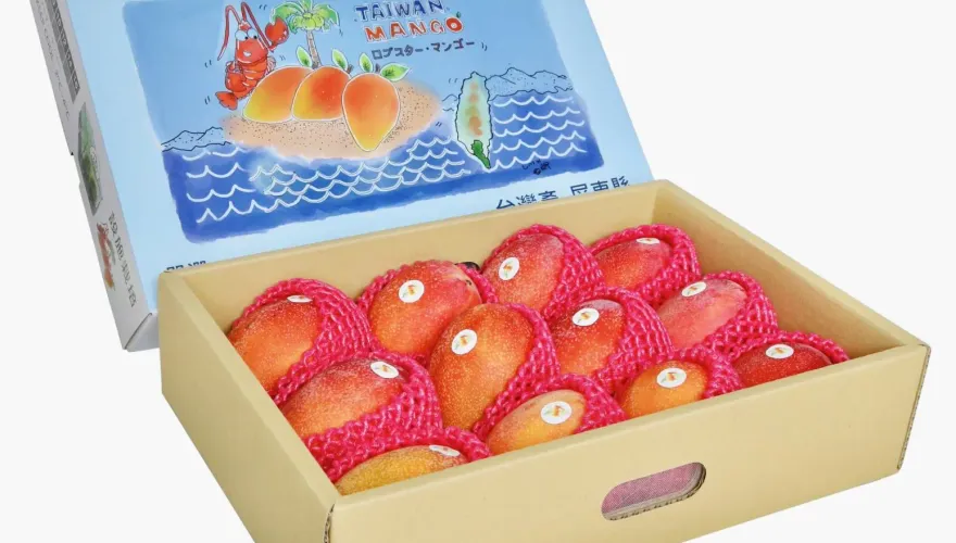 瘋搶！台灣芒果新品種「龍蝦芒果」上市　長達五年試驗栽種成功