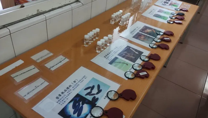 高雄鳳山爆群聚登革熱！鎮北里辦「宣導晨會」衛教清除積水滅孑孓