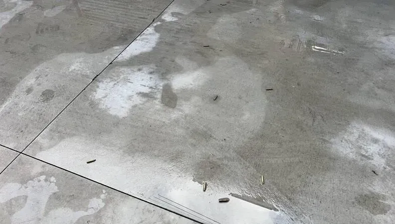 槍手落網！掃射高雄汽修廠成蜂窩　帶女友摩鐵開房遭制伏…另1槍手屏東投案