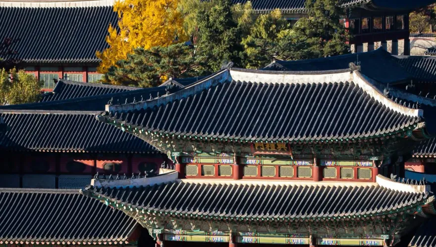拼經濟！韓國官方試行「文化培訓簽證」　以吸引更多外國人赴韓消費
