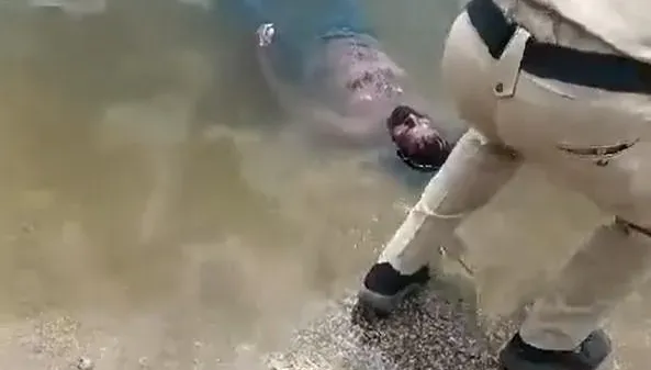 影/阿娘喂！池塘漂5小時　警下水撈「浮屍突起身」…他無辜：太累睡著了