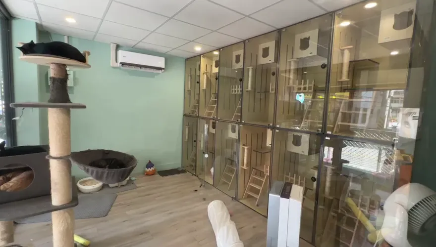 寵物店老闆遭指控造謠！施工團隊怒批「做生意不長久」　今致歉：是我嘴賤