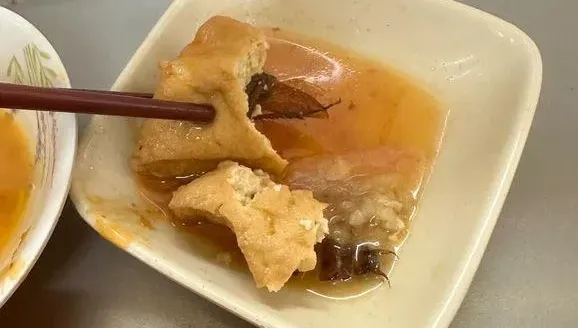 「小強噁料理」基隆再現！油豆腐藏肥美大蟑螂　衛生局查上游勒令停業改善