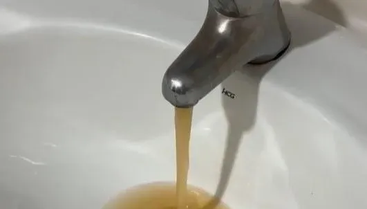 噁爆！「水龍頭流黃色濁水」彷彿冬瓜茶　澎湖救國團青年旅社回應了