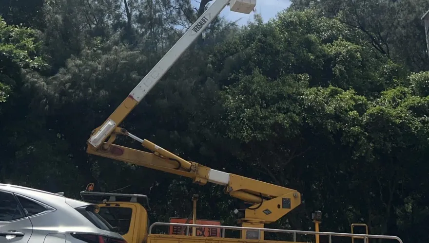 快訊/風太強！樹林狂搖掃到電線　南寮漁港近4千戶一度停電