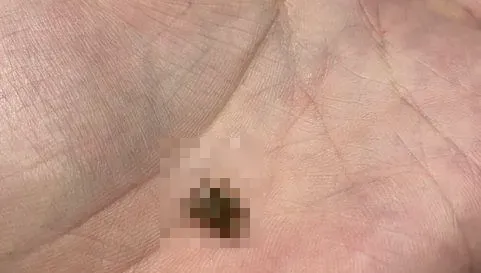 南港車站「牛角燒肉」飲料吸出蟑螂！業者發聲明：致上十二萬分歉意