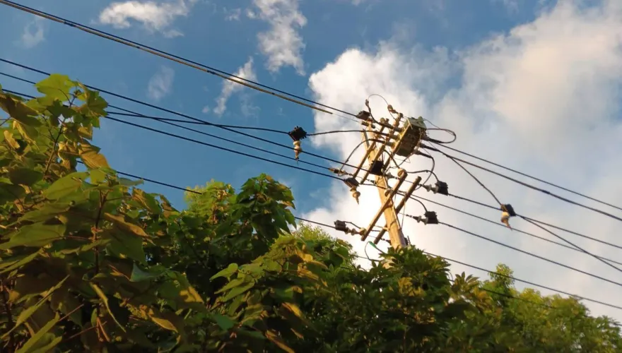 快訊/桃園連3天停電！今晚又停影響1111戶忍受熱夜晚　台電曝「非松鼠」原因
