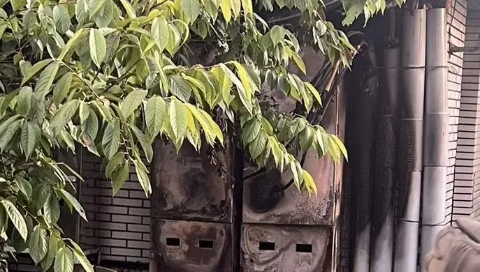 快訊/國1湖口南下服務區火災釀停電　賣場估7/5正常營業