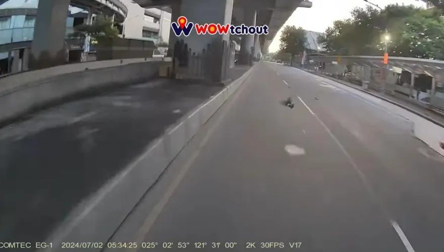 影/行經北車遭鳥擊！騎士險被擊落　網揭避開訣竅