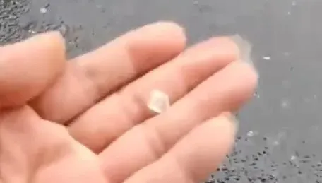 影/南投草屯「大雨夾帶冰雹」！路樹倒塌所幸未傷及人車