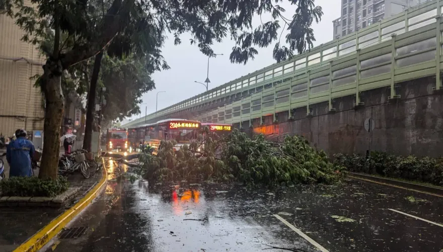 快訊/午後暴雨災情！北市建國南路樹倒擋路　公車、汽車塞住了