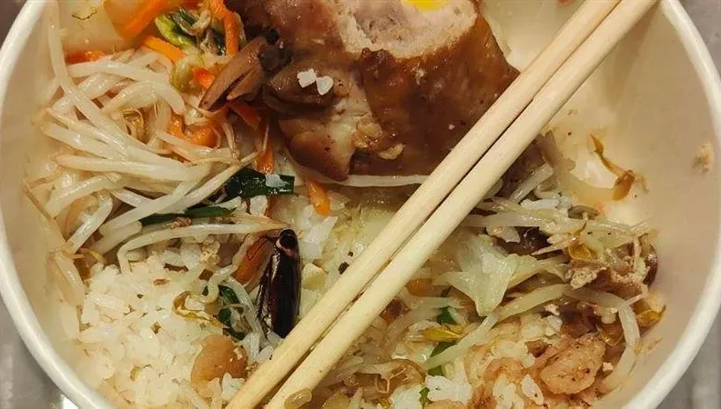 噁！北榮「紅豆食府」便當內驚見「巨蟑」　北市衛生局抓3缺失