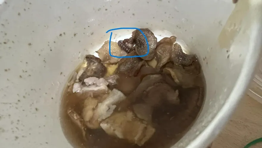 喝雞湯驚見「整條馬陸」！他作嘔崩潰　釣出同路人無奈回：我咬斷了水蛭
