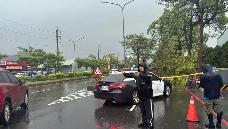 凱米狂風拔起高雄路樹！2騎士閃避不及慘遭擊落