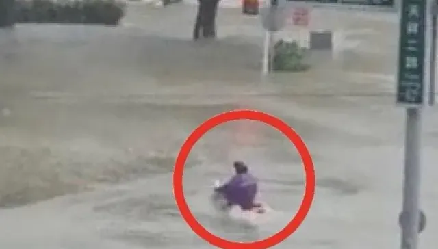 影/抗颱即戰力！高雄超猛「狗狗肉」無視豪雨洪水　海放百萬名車爽「航行」