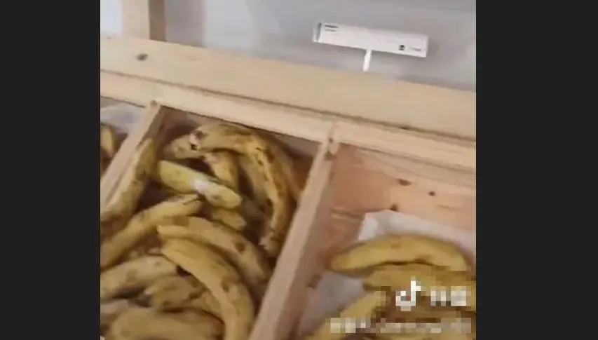 影/香蕉爛了、麵包硬如石！大陸隊樓下奧運餐廳慘況曝光　網笑：廚師帶對了